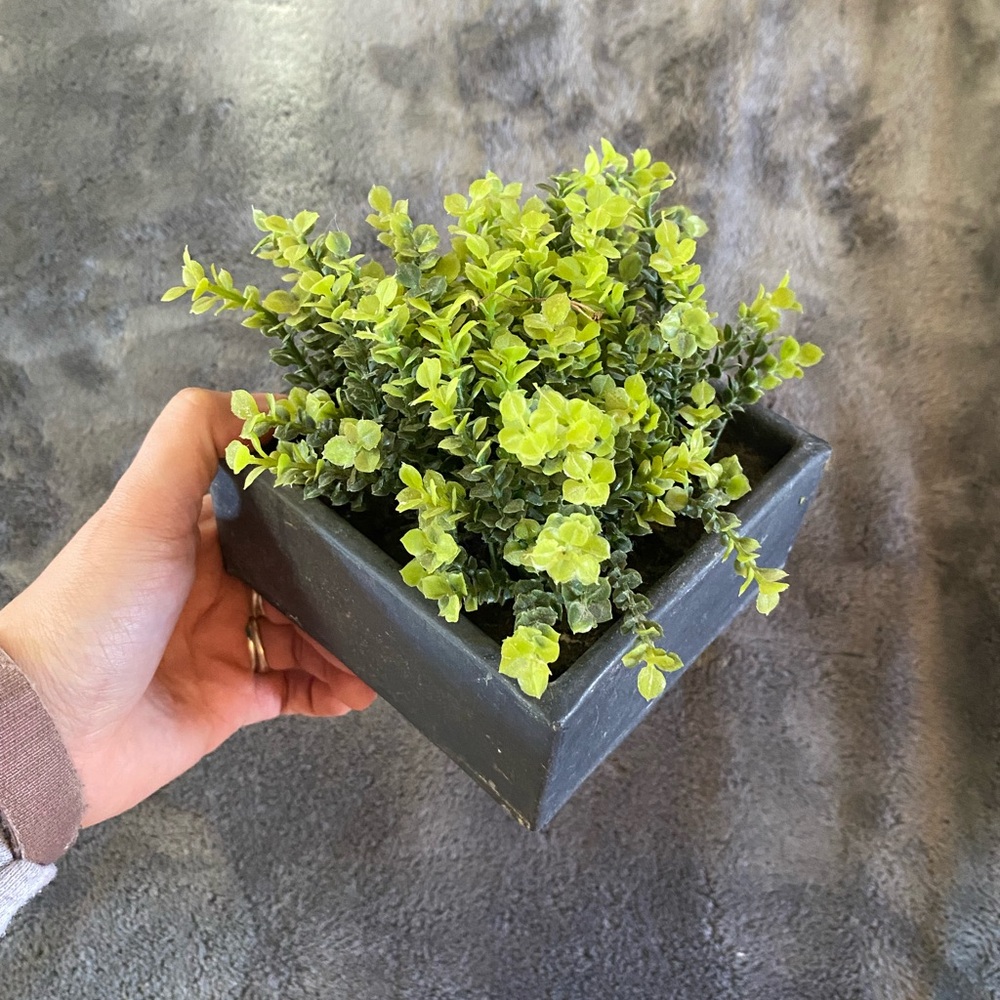 Faux plant